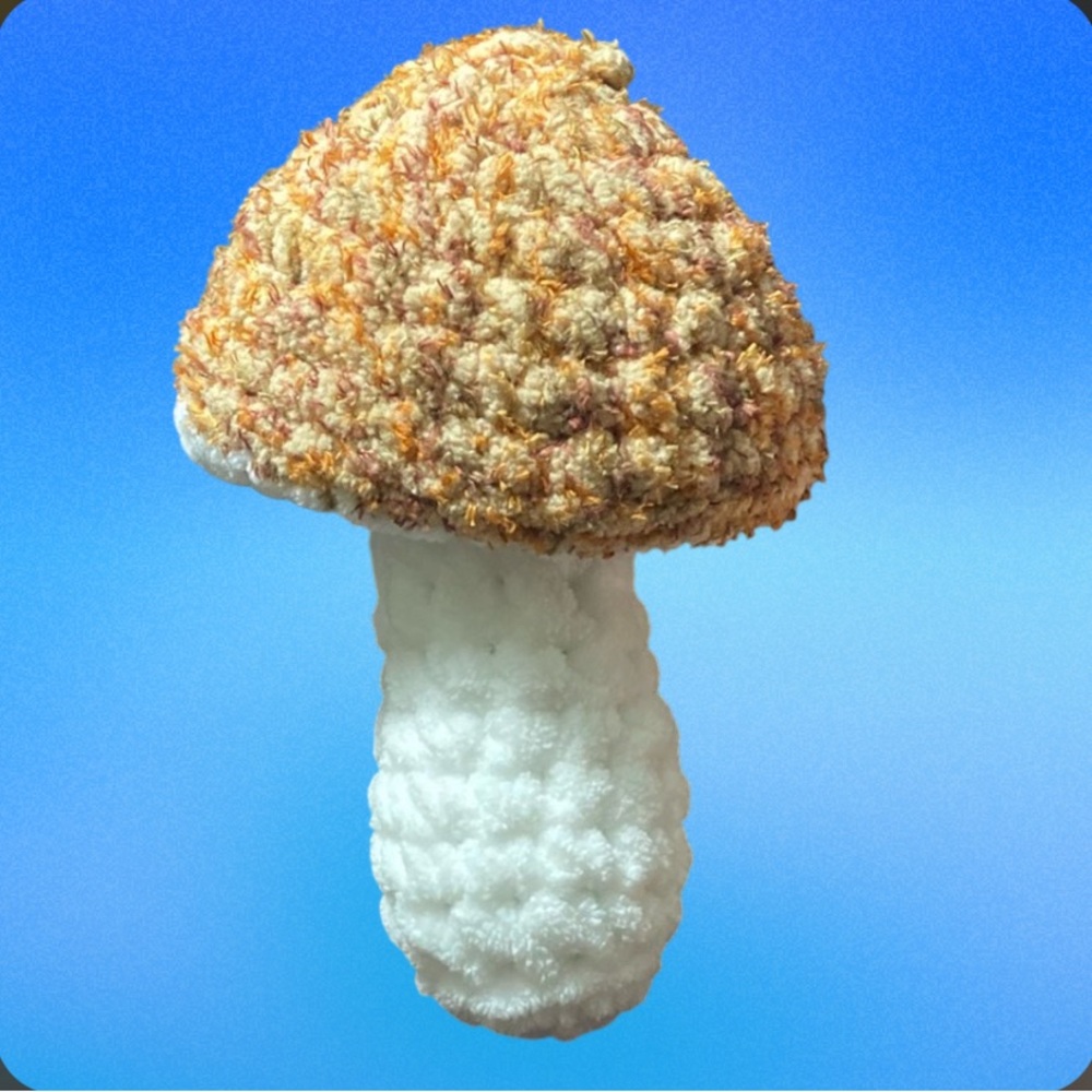 Mushroom plush crochet handmade (fidget)